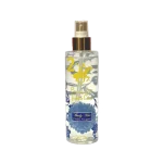 بادی میست بورلی هیلز پولو کلاب شماره ۲