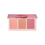 پالت سه‌تایی رژگونه صورتی شیگلم