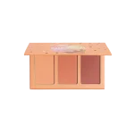 پالت سه‌تایی رژگونه نارنجی شیگلم